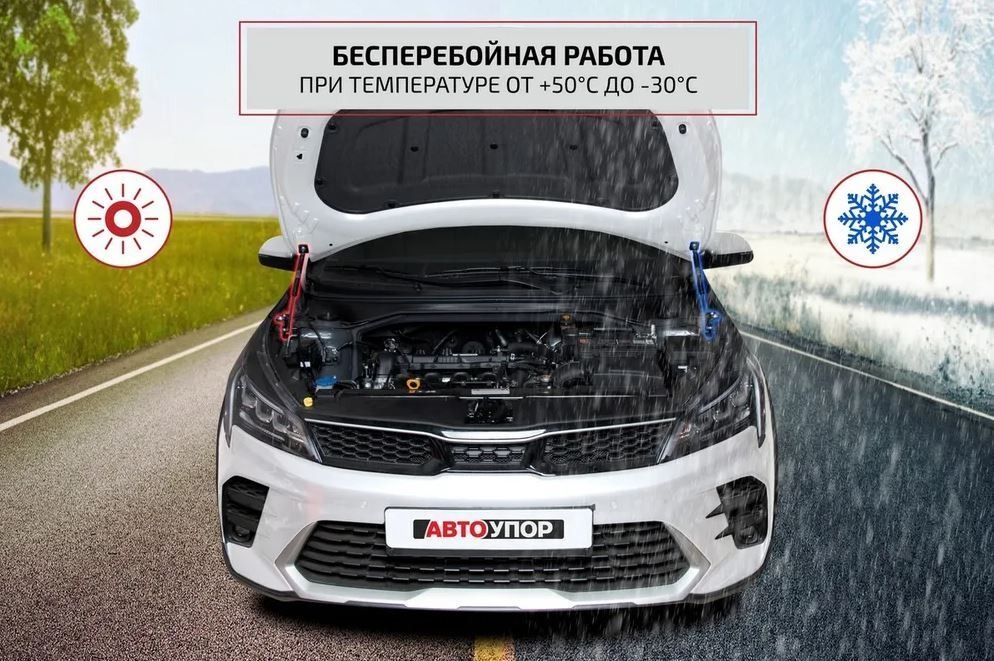 Комплект упоров капота АвтоУпор для Chevrolet Trailblazer (GM800) фото 5