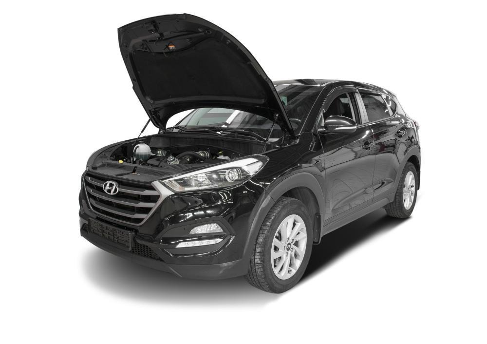 Комплект упоров капота АвтоУпор для Hyundai Tucson (TL) фото 2