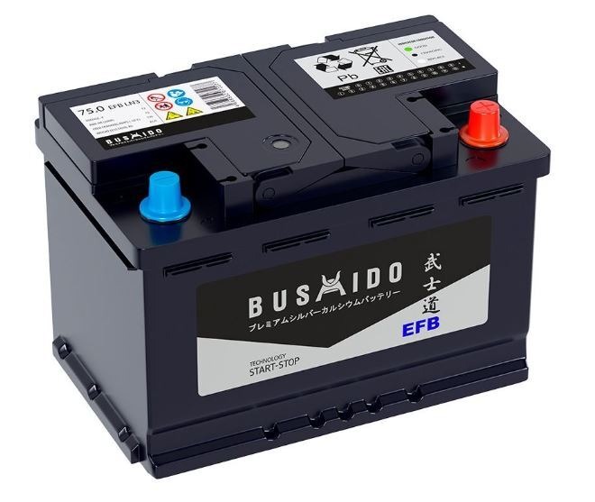 Аккумулятор Bushido EFB 75